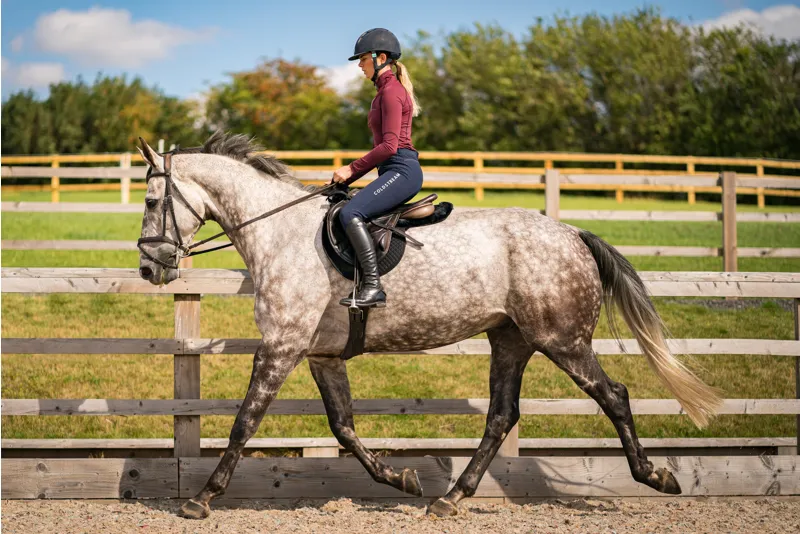 Coldstream Kilham Competition Breeches - Navy-5